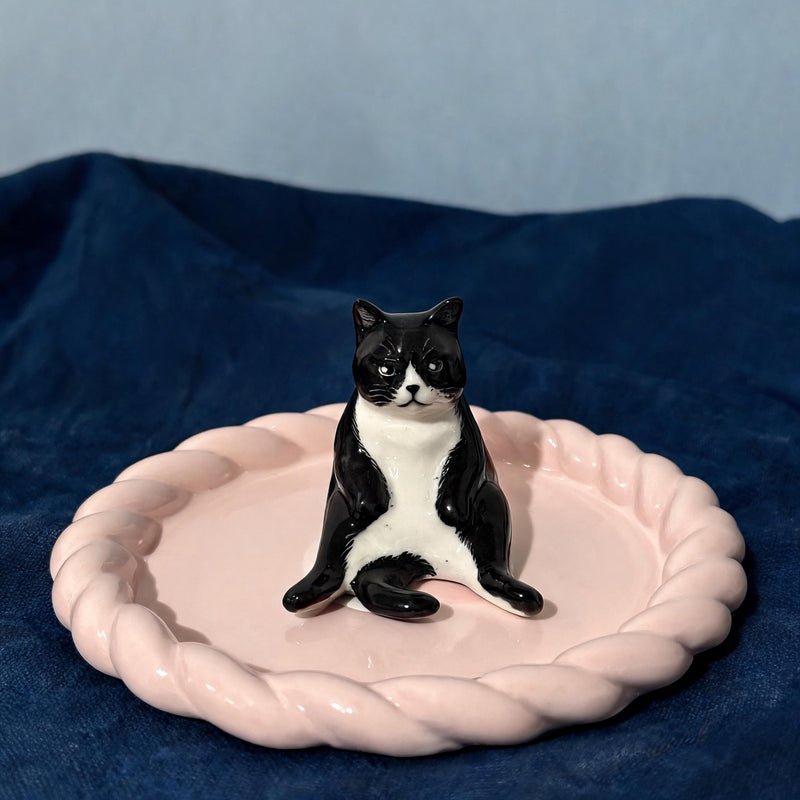 Blank Cat 1