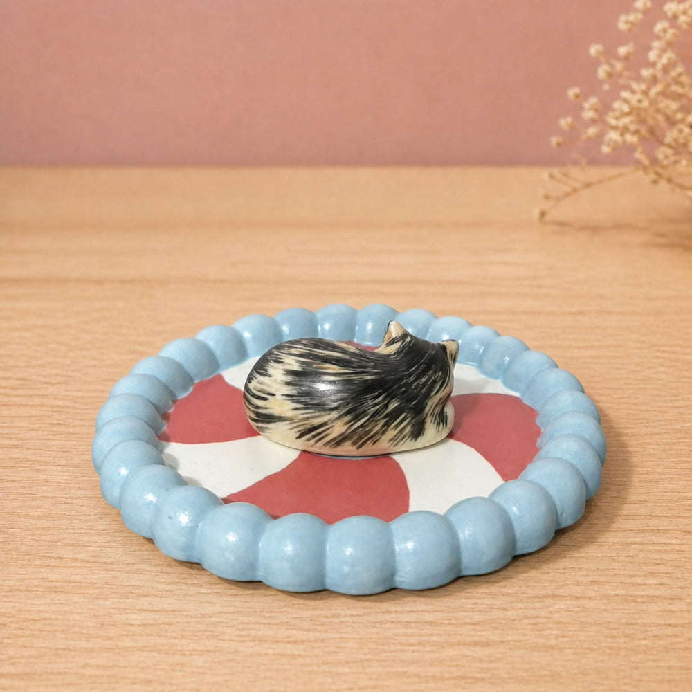 Peppermint Swirl Dish - Calico Cat Curled Up Sleeping - Blush Pink Background 04