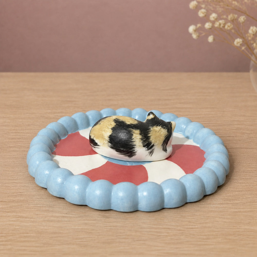 Peppermint Swirl Dish - Black & White Tuxedo Cat Curled Up Sleeping - Blush Pink Background 01
