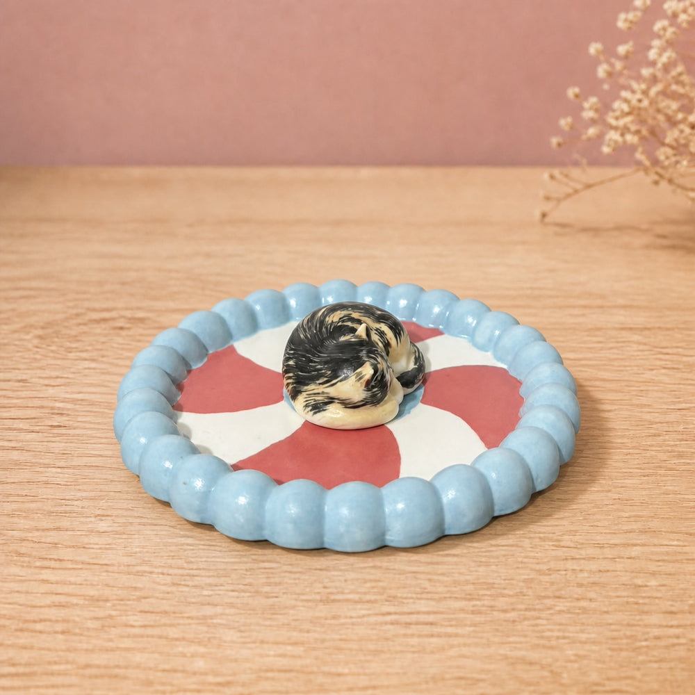 Peppermint Swirl Dish - Calico Cat Curled Up Sleeping - Blush Pink Background 05