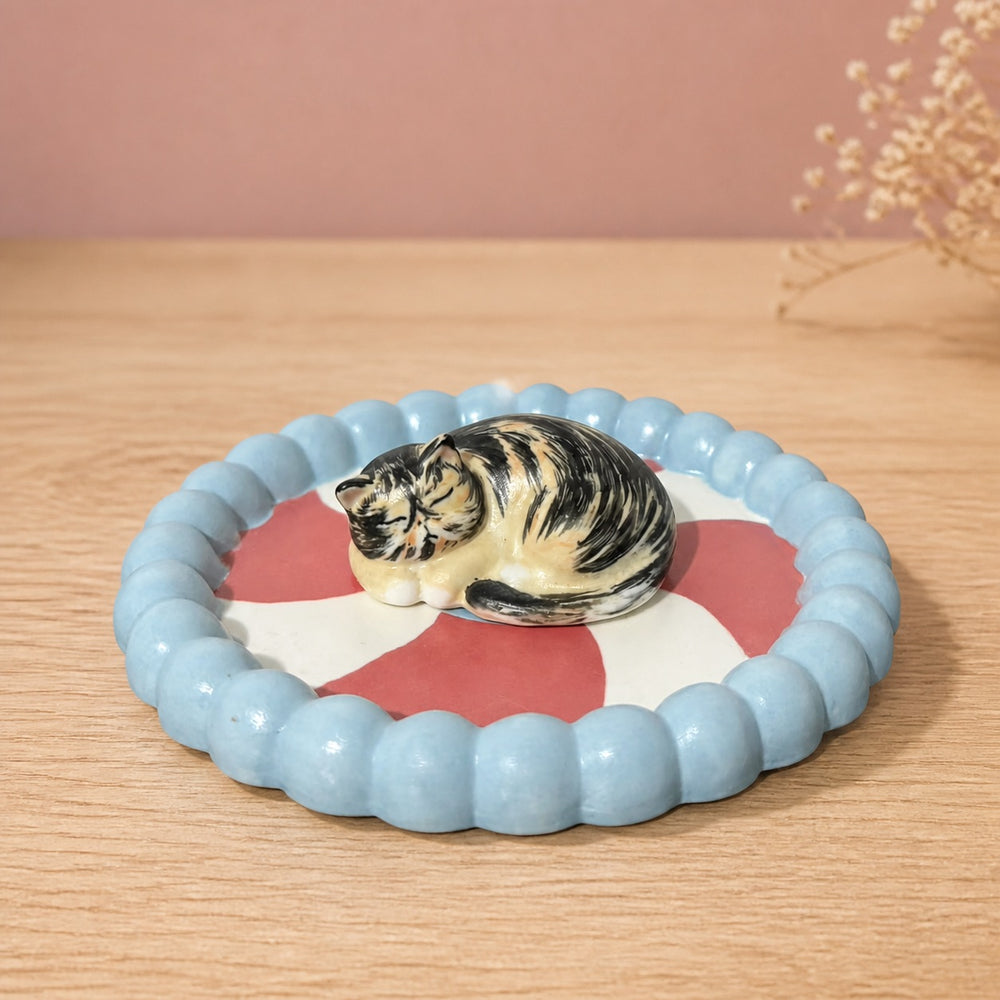 Peppermint Swirl Dish - Brown Tabby Cat Curled Up Sleeping - Blush Pink Background 01