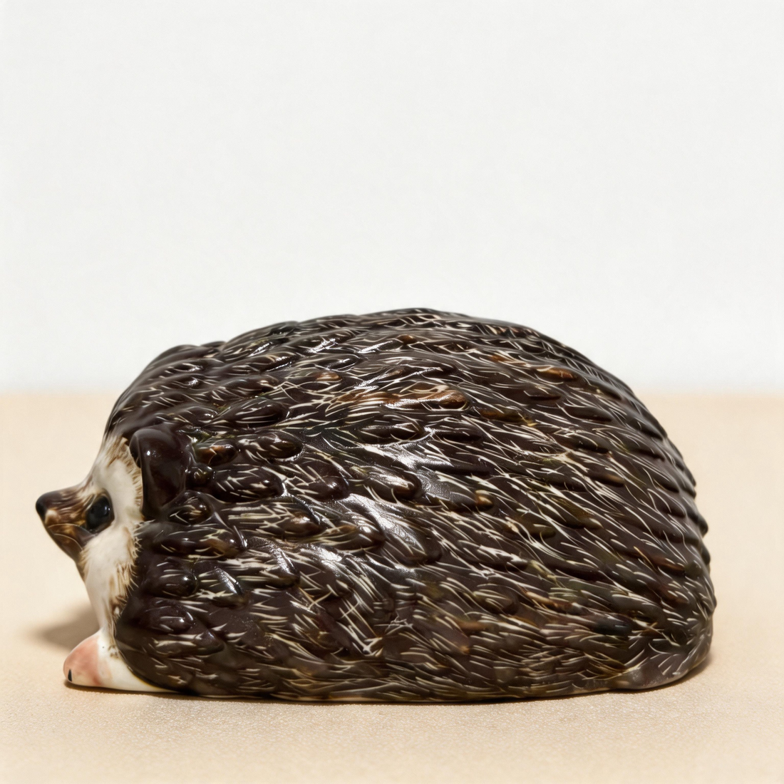 Pet Hedgehog Care: How to Keep an African Pygmy Hedgehog Happy and Healthy