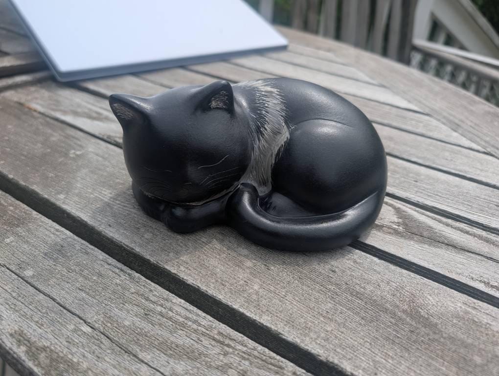 Why Do Cats Knead? The Sweet Reason Cats Make Biscuits