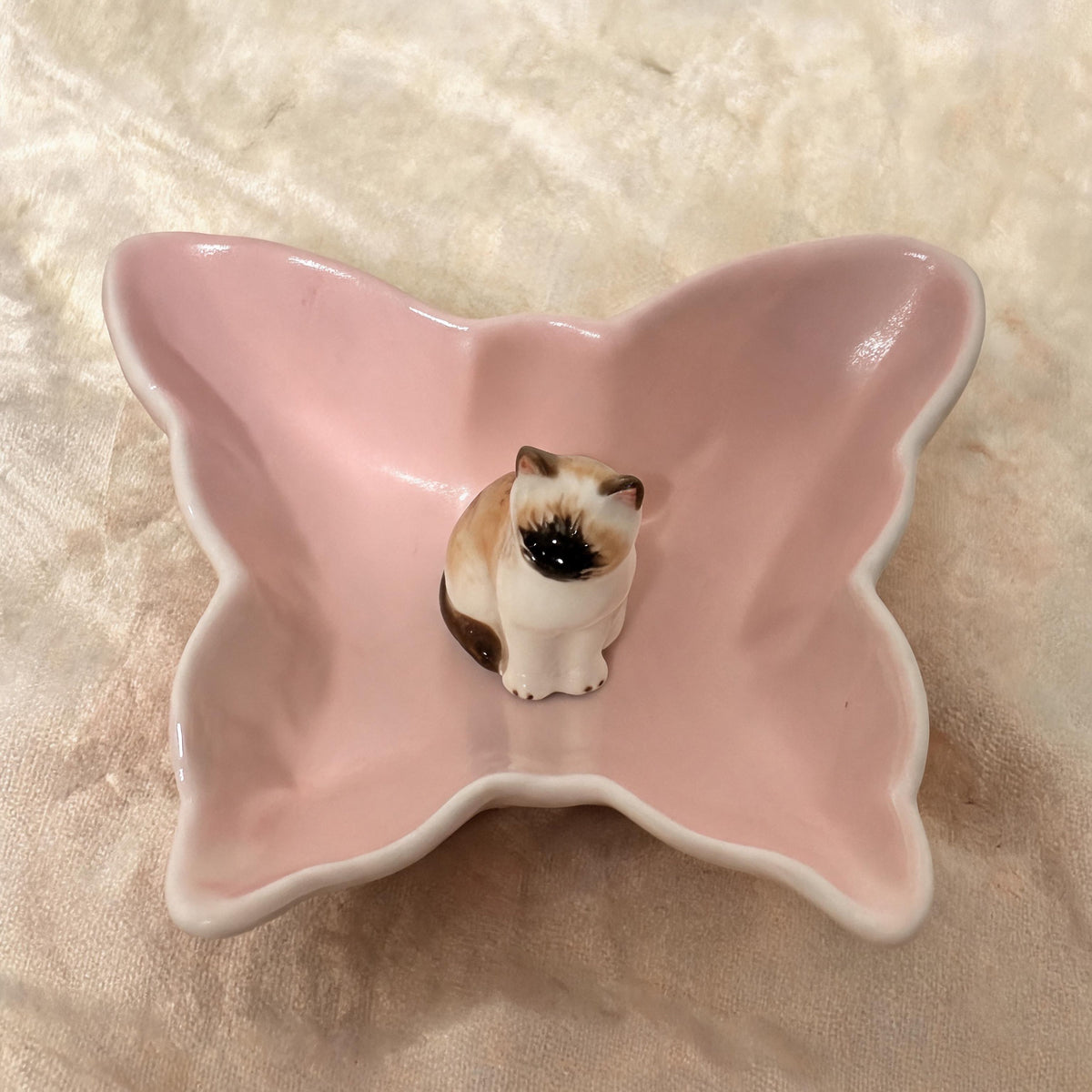 Blank Cat 1