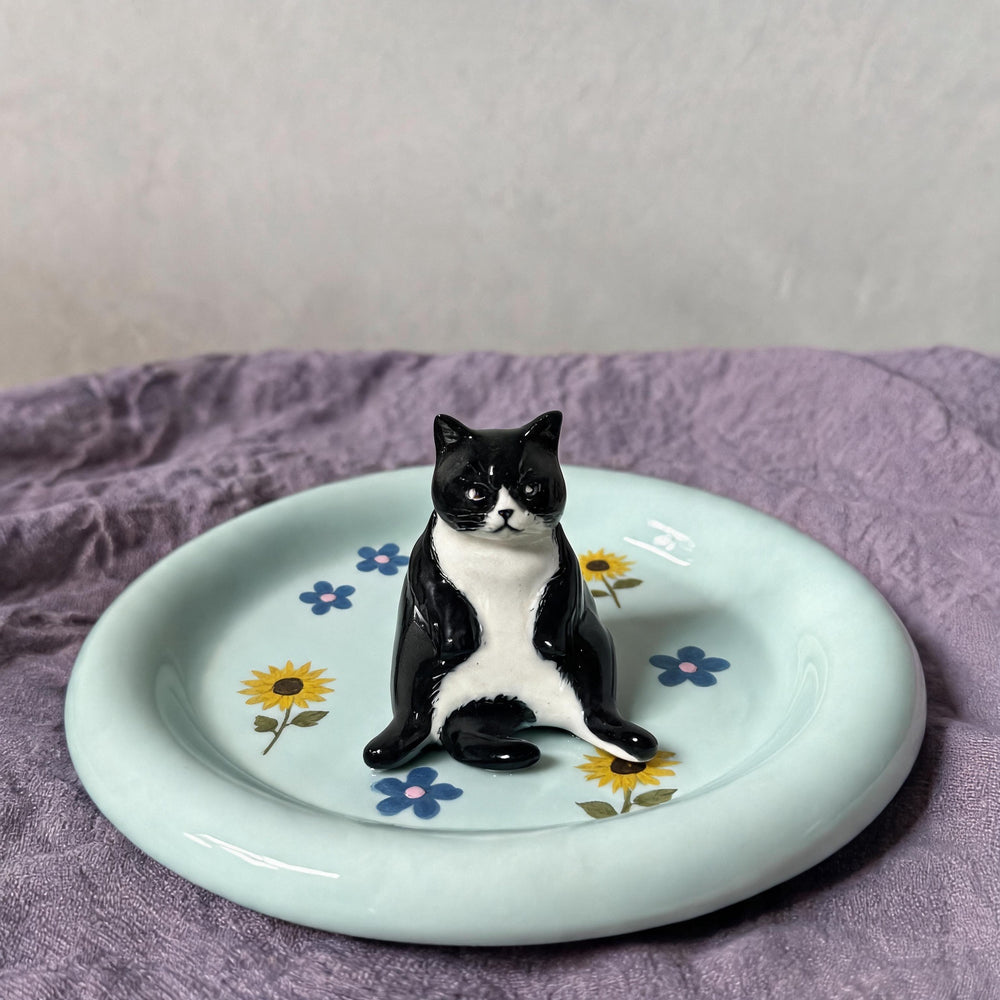 Teal Cat 2