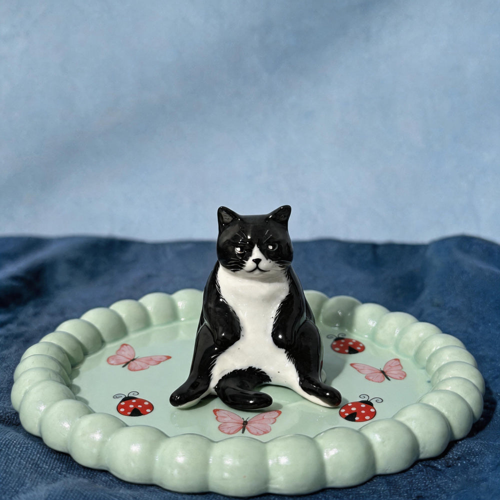 Teal Cat 2