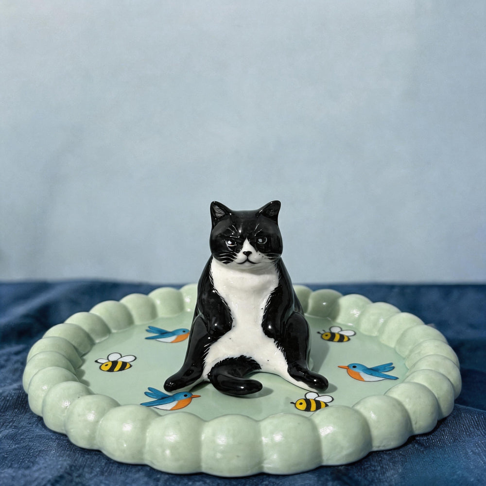 Teal Cat 1
